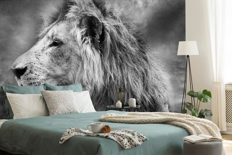 WALLPAPER AFRICAN LION IN BLACK AND WHITE - BLACK AND WHITE WALLPAPERS - WALLPAPERS