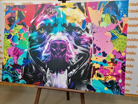 OBRAZ PESTROBAREVNÁ ILUSTRACE PSA - POP ART OBRAZY - OBRAZY