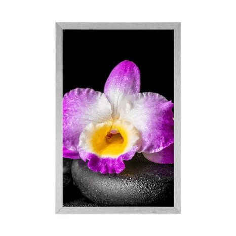 AFFICHE – ORCHIDÉE VIOLETTE SUR PIERRES ZEN AVEC PASSE-PARTOUT - FENG SHUI - AFFICHES