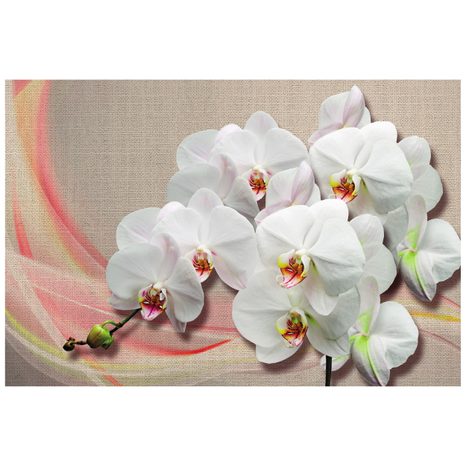 CARTA DA PARATI AUTOADESIVA – ORCHIDEA BIANCA SU TELA - CARTA DA PARATI AUTOADESIVE - CARTA DA PARATI
