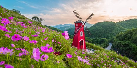 ΕΙΚΌΝΑ ΛΙΒΆΔΙ ΣΤΟ ΜΑΓΙΚΌ ΜΎΛΟ - ΠΊΝΑΚΕΣ ΦΎΣΗΣ ΚΑΙ ΤΟΠΊΟΥ - ΠΊΝΑΚΕΣ