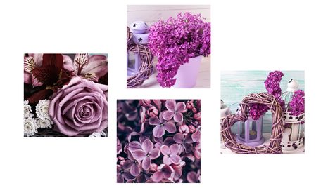 SET DI QUADRI – NATURA MORTA LILLA - COLLEZIONI DI QUADRI - STAMPE E QUADRI