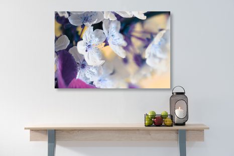 OBRAZ KWITNĄCA GAŁĄZKA WIŚNI - OBRAZY - 🔥 TOTALNA WYPRZEDAŻ