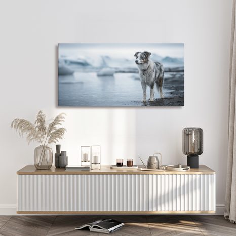 OBRAZ ZASNĚŽENÁ KRAJINA SE PSEM - OBRAZY PSI - OBRAZY