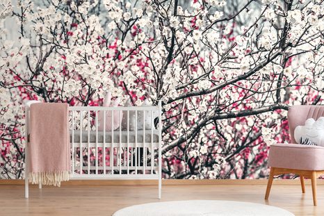 FOTOTAPETA KVĚTINY BROSKVE - TAPETY KVĚTINY - TAPETY