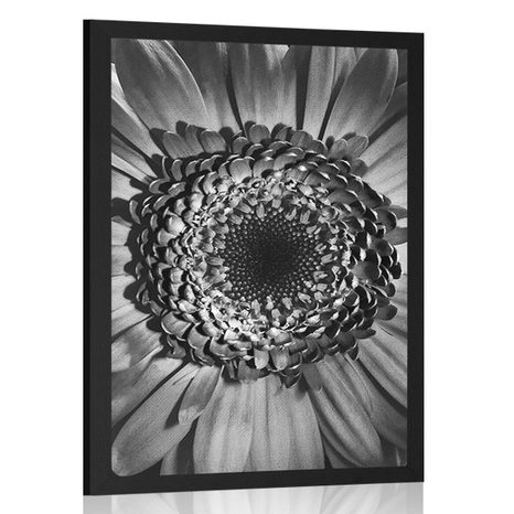 AFFICHE GERBERA EN NOIR ET BLANC - NOIR ET BLANC - AFFICHES