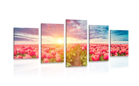 QUADRO IN 5 PARTI ALBA SU CAMPO DI TULIPANI - QUADRI DI FIORI - QUADRI