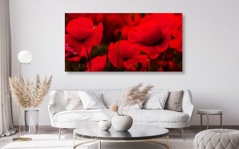 OBRAZ KRÁSNÉ POLE VLČÍCH MÁKŮ - OBRAZY KVĚTŮ - OBRAZY