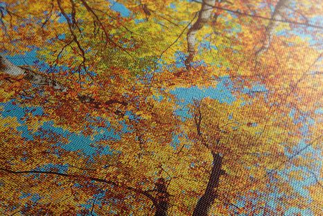 OBRAZ PODZIMNÍ KORUNY STROMŮ - OBRAZY PŘÍRODY A KRAJINY - OBRAZY