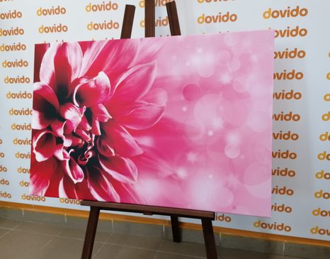 КАРТИНА НА ПЛАТНО – РОЗОВ ЦВЯТ - КАРТИНИ С ЦВЕТЯ - КАРТИНИ