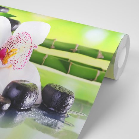 FOTOTAPETA JAPONSKÁ ORCHIDEJ - TAPETY FENG SHUI - TAPETY