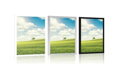 PLAGÁT NÁDHERNÝ SLNEČNÝ DEŇ NA LÚKE - PRÍRODA - PLAGÁTY