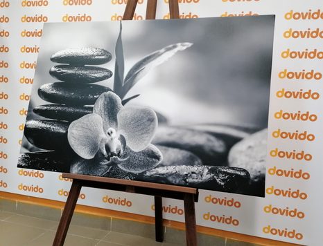 CANVAS PRINT MEDITATIVE ZEN COMPOSITION IN BLACK AND WHITE - BLACK AND WHITE PICTURES - PICTURES