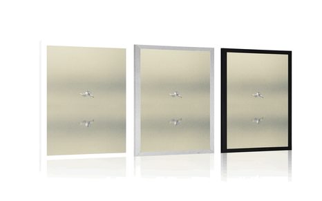 PLAGÁT VTÁK V HMLE - PRÍRODA - PLAGÁTY