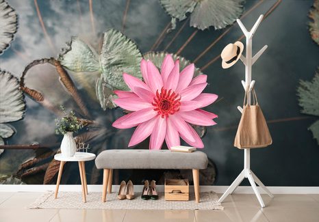 FOTOTAPETA OKOUZLUJÍCÍ LOTOSOVÝ KVĚT - TAPETY KVĚTINY - TAPETY