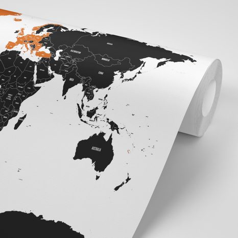 SAMOLEPÍCÍ TAPETA MODERNÍ MAPA S KONTRASTEM - SAMOLEPÍCÍ TAPETY - TAPETY
