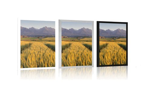 PLAKAT ZALAZAK SUNCA NAD PŠENIČNIM POLJEM - PRIRODA - PLAKATI