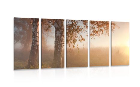 5-PIECE CANVAS PRINT MISTY AUTUMN FOREST - PICTURES OF NATURE AND LANDSCAPE - PICTURES