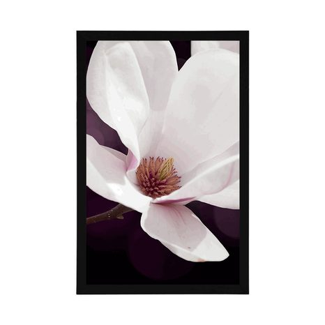 POSZTER MAGNÓLIA ABSZTRAK HÁTTÉREN - VIRÁGMINTÁS - POSZTEREK