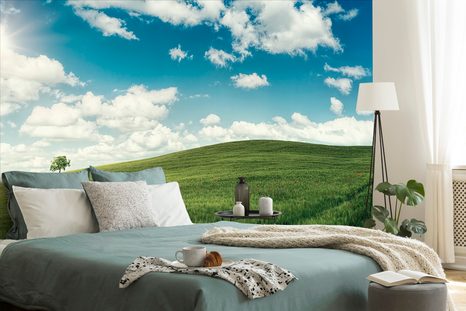 SAMOLEPÍCÍ FOTOTAPETA NÁDHERNÝ DEN NA LOUCE - SAMOLEPÍCÍ TAPETY - TAPETY