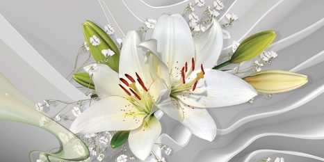 CANVAS PRINT WHITE LILY ON AN INTERESTING BACKGROUND - PICTURES - 🔥 TOTAL SALE 🔥