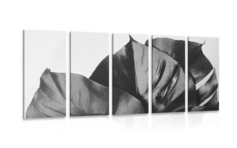 5-TEILIGES WANDBILD SCHWARZ-WEISSES BLATT DER MONSTERA - SCHWARZ-WEISSE BILDER - BILDER