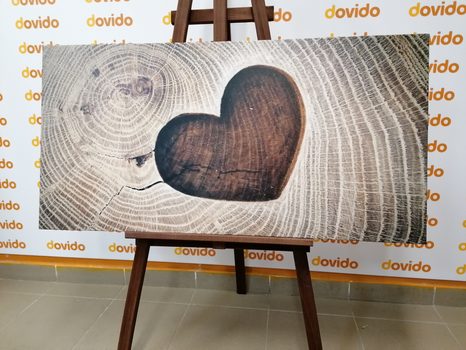 FOTO OP CANVAS SYMBOOL VAN LIEFDE - SCHILDERIJEN - MEGA UITVERKOOP TOT 70% 🔥