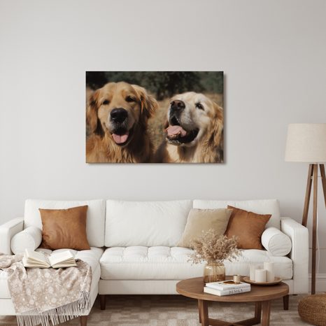 WANDBILD FRÖHLICHE HUNDEGESICHTER - BILDER VON HUNDEN - BILDER