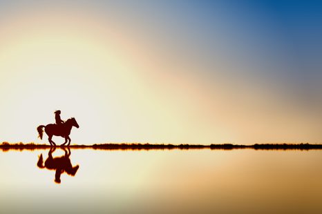 ΤΑΠΕΤΣΑΡΊΑ ΑΝΑΒΆΤΗΣ ΣΕ ΆΛΟΓΟ - ΤΑΠΕΤΣΑΡΊΑ ΖΏΩΝ - ΤΑΠΕΤΣΑΡΊΕΣ