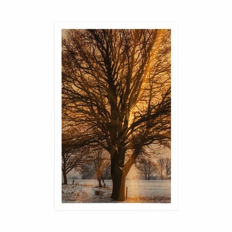 PLAKÁT STROM V ZASNĚŽENÉ KRAJINĚ - PŘÍRODA - PLAKÁTY