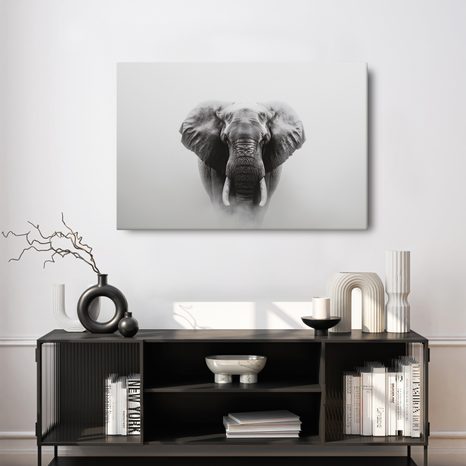 OBRAZ MAJESTÁTNÍ SLON V MLZE - OBRAZY SLONI - OBRAZY