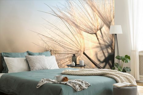 FOTOTAPETE LÖWENZAHN BEIM SONNENAUFGANG - TAPETEN MIT BLUMENMOTIVEN - TAPETEN