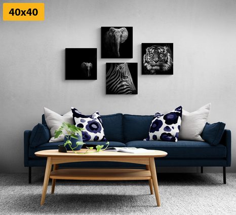 BILDER-SET TIERE IM SCHWARZ-WEISSEN STIL - BILDERSETS - BILDER