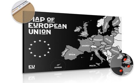 QUADRO SU SUGHERO MAPPA EDUCATIVA CON I NOMI DEI PAESI DELL'UNIONE EUROPEA IN BIANCO E NERO - QUADRI SU SUGHERO - QUADRI