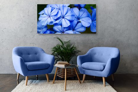 STAMPA SU TELA – FIORI BLU PITTORESCHI - QUADRI DI FIORI - STAMPE E QUADRI