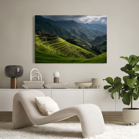 WANDBILD GRÜNE REISTERRASSEN - WANDBILDER FELDER UND WIESEN - BILDER