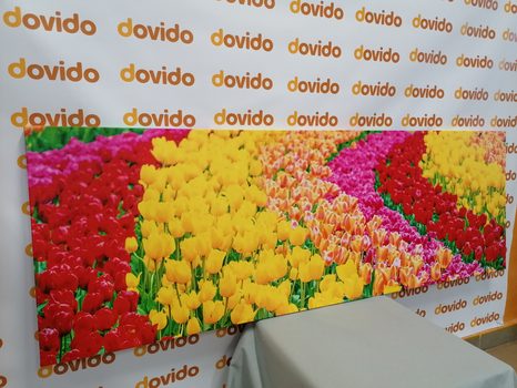 TABLOU LALELE MULTICOLORE - TABLOU FLORI - TABLOURI