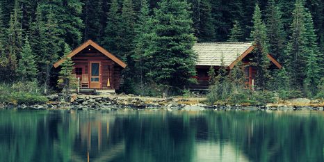 TABLOU PARCUL YOKO ÎN CANADA - TABLOU NATURĂ ȘI PEISAJE NATURALE - TABLOURI