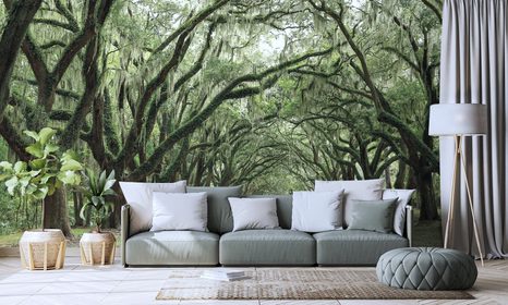 SAMOLEPÍCÍ FOTOTAPETA V OBJETÍ STROMŮ - TAPETY - TOTÁLNÍ VÝPRODEJ 🔥