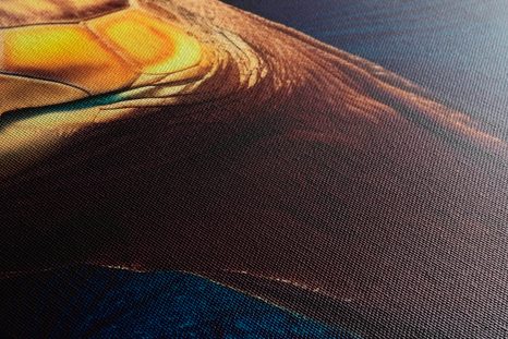 STAMPA SU TELA – TARTARUGA BLU-ORO - QUADRI I DOMINATORI DEL REGNO ANIMALE - STAMPE E QUADRI