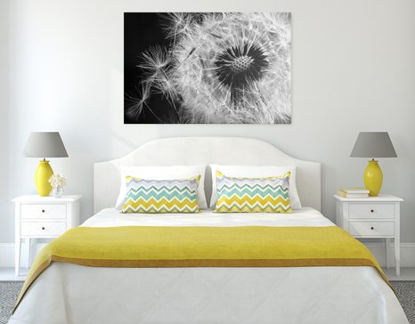 WANDBILD LÖWENZAHNSAMEN IN SCHWARZ-WEISS - SCHWARZ-WEISSE BILDER - BILDER