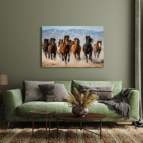 OBRAZ DIVOKÝ BĚH KONÍ KRAJINOU - OBRAZY KONĚ - OBRAZY