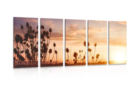 5-PIECE CANVAS PRINT GRASS BLADES AT SUNRISE - PICTURES OF NATURE AND LANDSCAPE - PICTURES