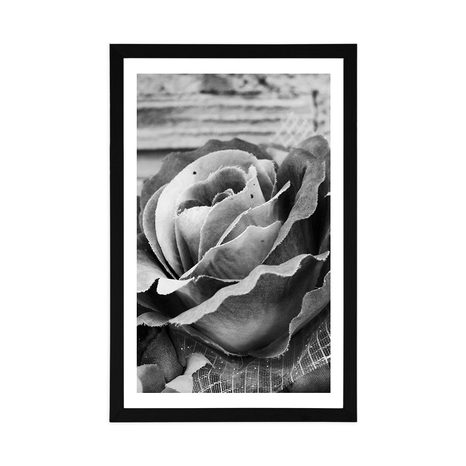 POSTER – ROSA VINTAGE ELEGANTE IN BIANCO E NERO - NERO E BIANCO - POSTER