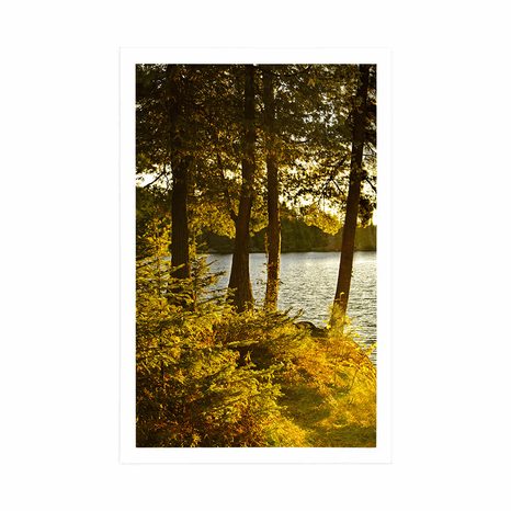 POSTER VIEW OF THE LAKE - NATURE - POSTERS