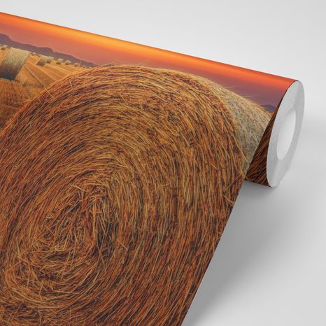 SAMOLEPÍCÍ FOTOTAPETA BALÍKY SENA - SAMOLEPÍCÍ TAPETY - TAPETY