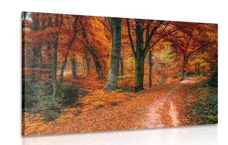 CANVAS PRINT FOREST IN AUTUMN - PICTURES OF NATURE AND LANDSCAPE - PICTURES