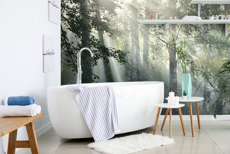 SELBSTKLEBENDE FOTOTAPETE SONNENSTRAHLEN IM NEBLIGEN WALD - SELBSTKLEBENDE TAPETEN - TAPETEN