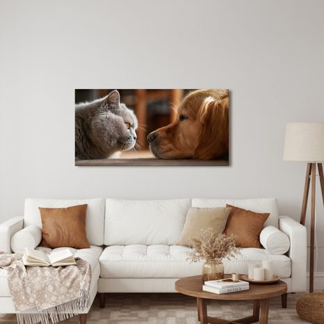 OBRAZ KLIDNÉ SETKÁNÍ KOČKY A PSA - OBRAZY ZVÍŘAT - OBRAZY