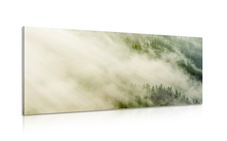 CANVAS PRINT MISTY FOREST - PICTURES OF NATURE AND LANDSCAPE - PICTURES